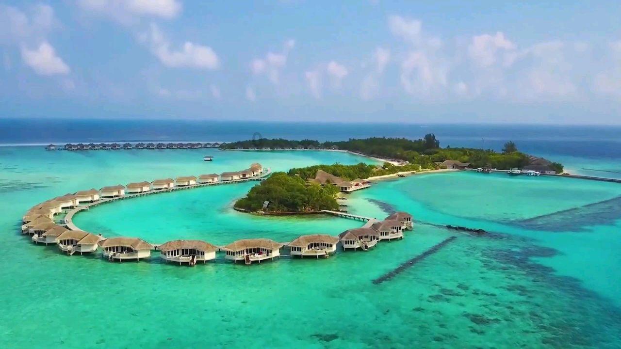 重装系统哪个软件最好知识星球平台,让你畅享学习之旅