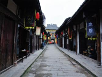 五彩鹦鹉救援