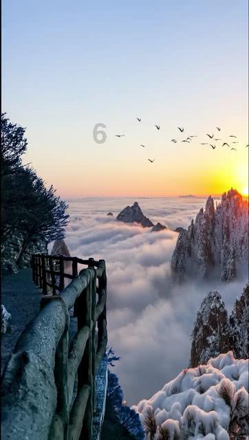 命运骰子